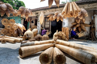 Why Vietnam Rattan is the Premier Choice for Global Furniture Brands?