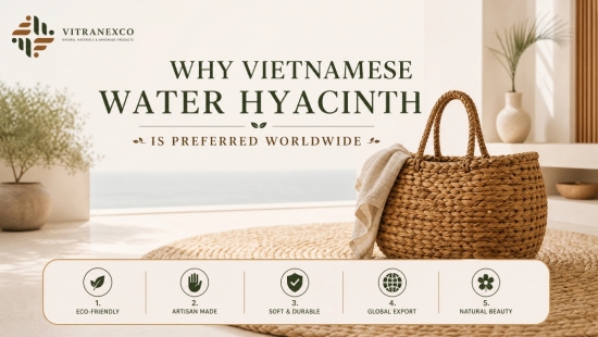 Why Vietnamese Water Hyacinth Is Preferred Worldwide