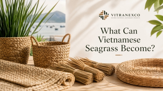 What Can Vietnamese Seagrass Become?