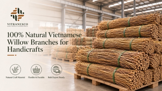 100% Natural Vietnamese Willow Branches for Handicrafts