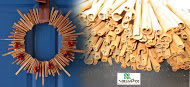 Cinnamon stick high quality