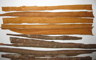 Cinnamon spices high quality
