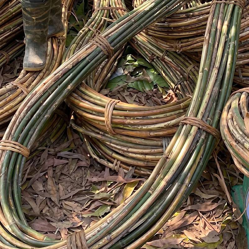 Raw natural rattan poles stored in a warehouse factory